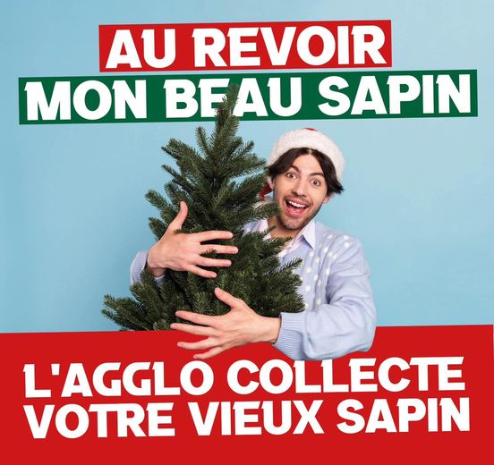 Collecte de vieux sapins Agglo Béziers